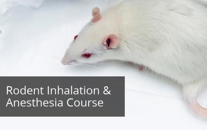 RRSSC – Rodent Inhalation and Injectable Anaesthesia Workshop