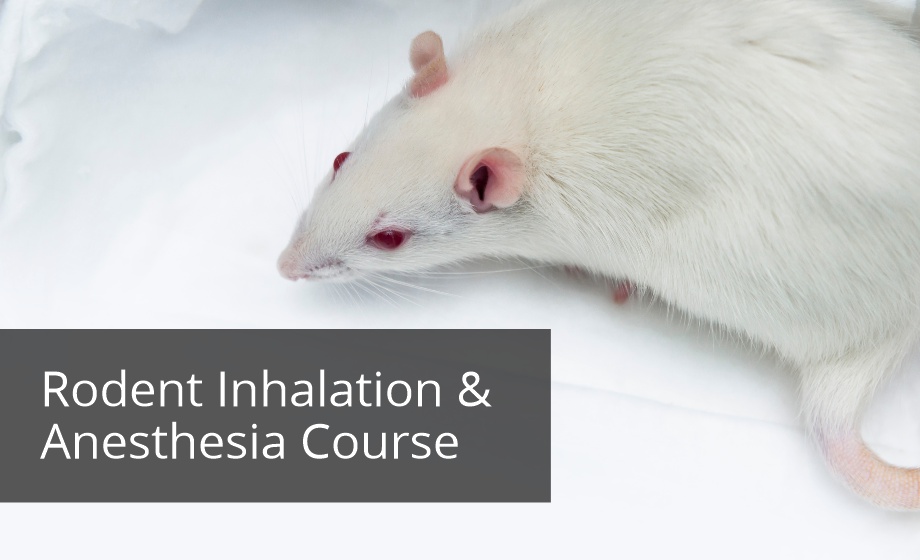 Rodent Inhalation and Injectable Anaesthesia Workshop