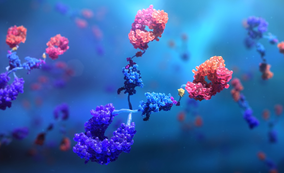 How Transformative Antibody Technology Can Improve Your Bioanalytical Assays