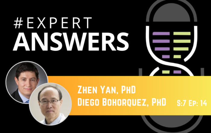 #ExpertAnswers: Zhen Yan & Diego Bohórquez on Obesity