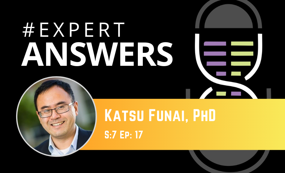 Expert Answers: Katsu Funai on Obesity