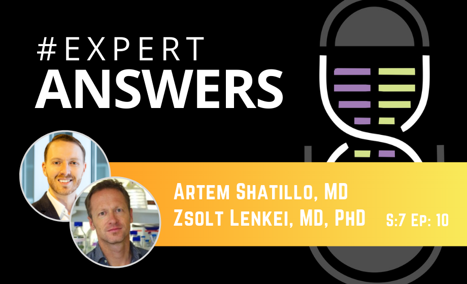 Expert Answers: Artem Shatillo & Zsolt Lenkei on Functional Ultrasound Imaging