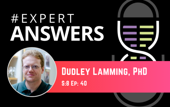 #ExpertAnswers: Dudley Lamming on Aging Science