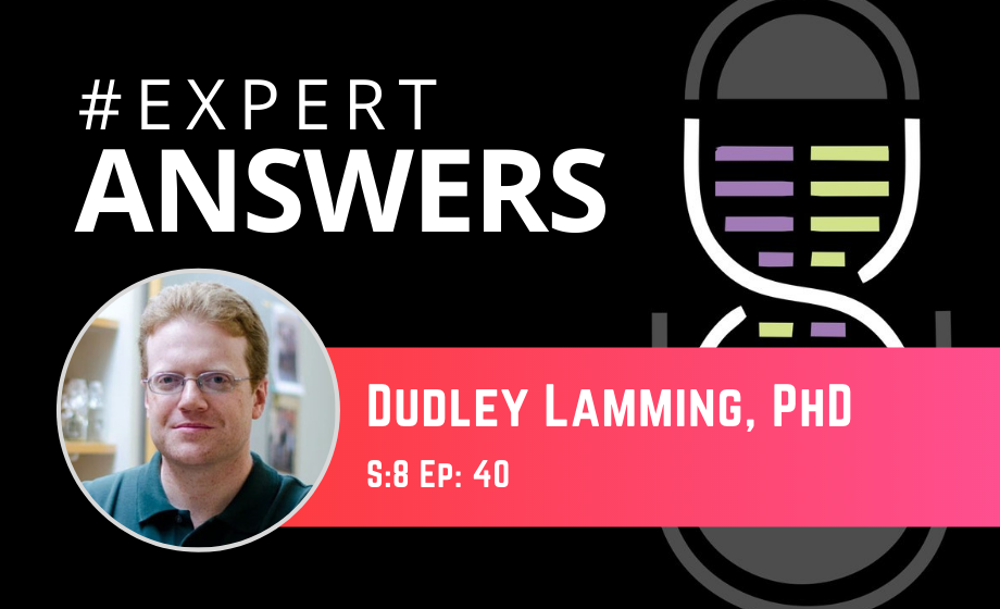 Expert Answers: Dudley Lamming on Metabolic Health and Longevity