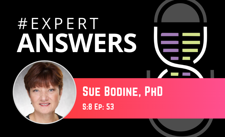 Expert Answers: Sue Bodine on Aging and Skeletal Muscle Plasticity