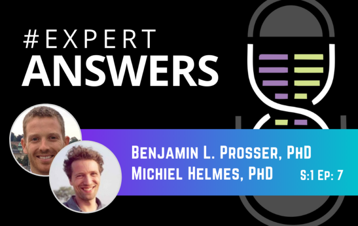 #ExpertAnswers: Benjamin Prosser and Michiel Helmes on Measuring Force in Single Heart Cells