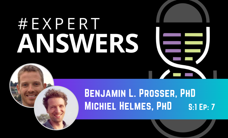 Expert Answers: Benjamin Prosser and Michiel Helmes on Measuring Force in Single Heart Cells