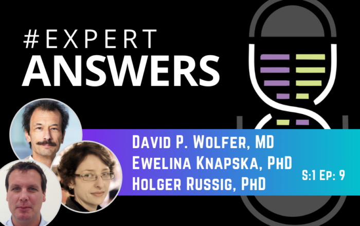 #ExpertAnswers: David Wolfer, Ewelina Knapska, and Holger Russig on Rodent Behaviour