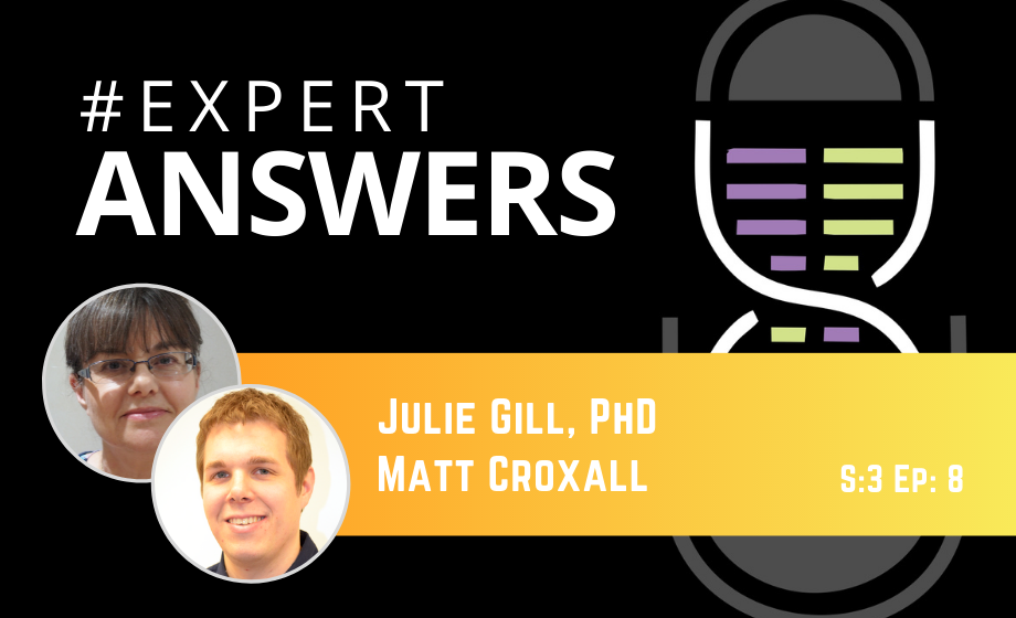 Expert Answers: Julie Gill and Matt Croxall on Cognitive Evaluation of Rodents
