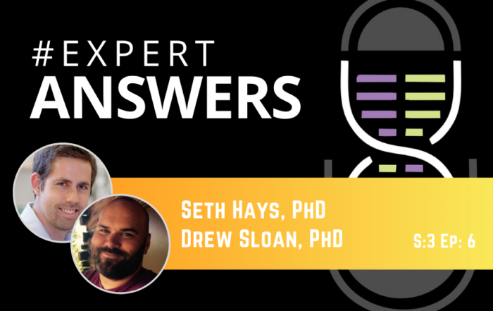 #ExpertAnswers: Seth Hays and Drew Sloan on Forelimb Function in Rats and Mice