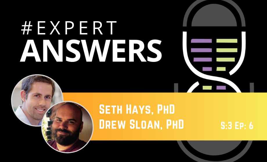 Expert Answers: Seth Hays and Drew Sloan on Forelimb Function in Rats and Mice