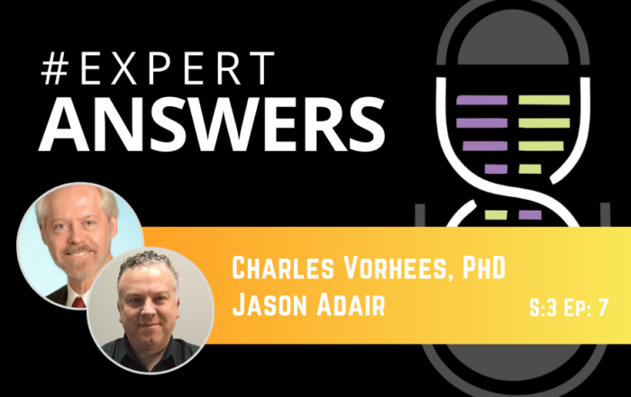 #ExpertAnswers: Charles Vorhees and Jason Adair on Reflex Testing in Rodents