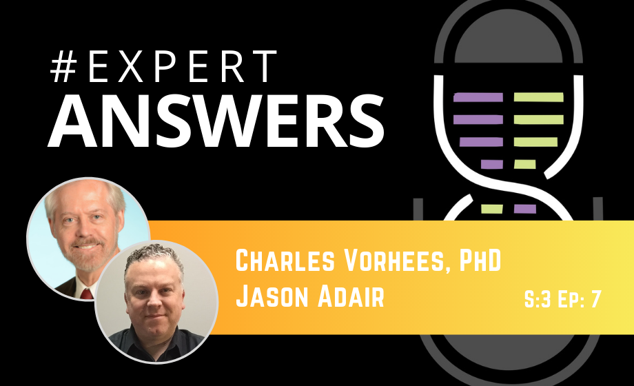 Expert Answers: Charles Vorhees and Jason Adair on Reflex Testing in Rodents