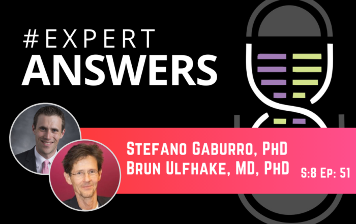 #ExpertAnswers: Stefano Gaburro and Brun Ulfhake on Aging Science