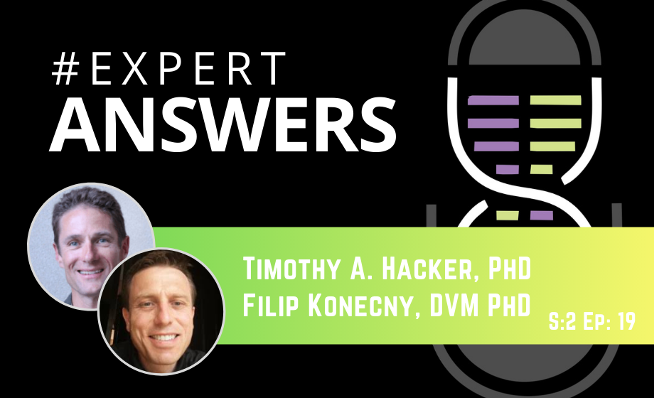 Expert Answers: Timothy Hacker and Filip Konecny on Pressure-Volume Loop Data