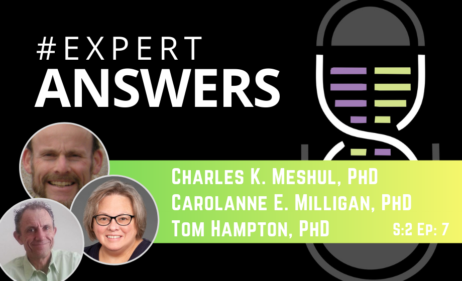 Expert Answers: Charles Meshul, Carolanne Milligan, and Tom Hampton on Gait Analysis