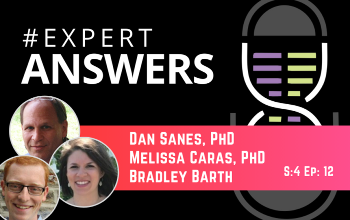 #ExpertAnswers: Melissa Caras, Dan Sanes & Bradley Barth on Wireless Recording and Stimulation Technologies for in vivo Electrophysiology