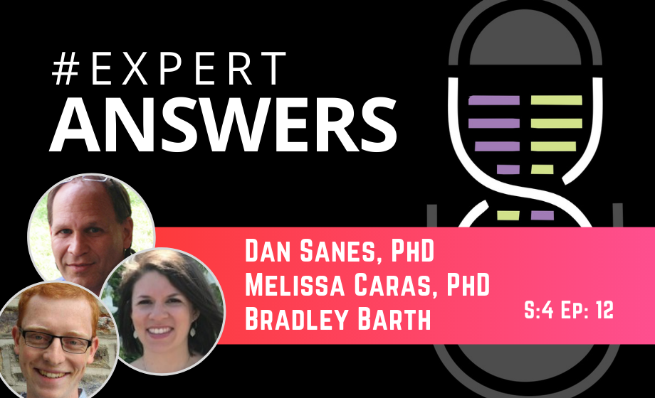 Expert Answers: Melissa Caras, Dan Sanes & Bradley Barth on Wireless Recording and Stimulation Technologies for in vivo Electrophysiology