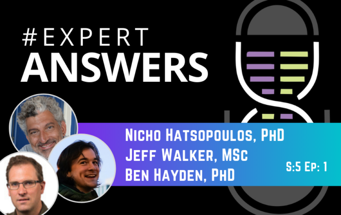 #ExpertAnswers: Nicho Hatsopoulos, Jeff Walker & Ben Hayden on Wireless Recording Technologies for in vivo Electrophysiology