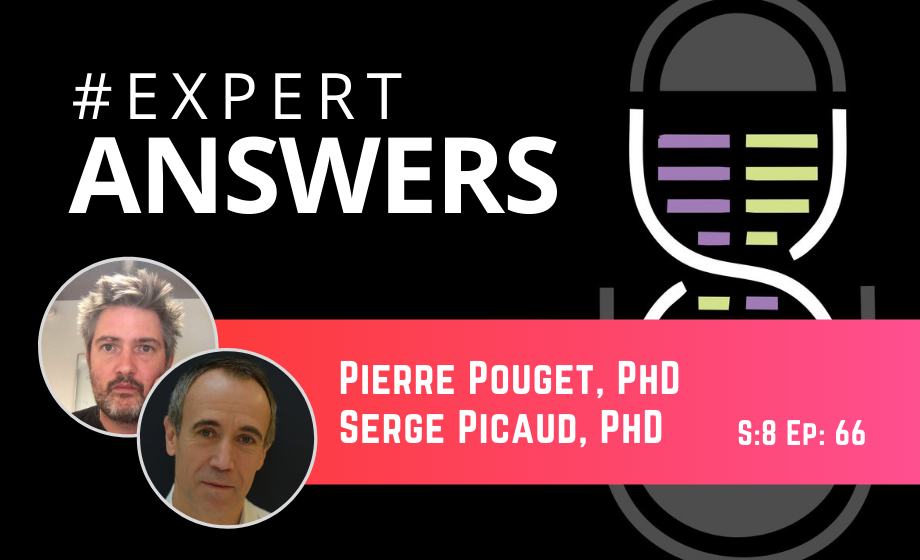 #ExpertAnswers: Pierre Pouget and Serge Picaud on Functional Ultrasound Imaging