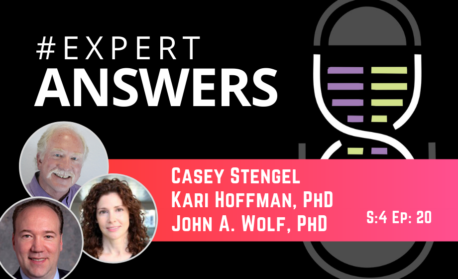 Expert Answers: Casey Stengel, John A. Wolf, and Kari Hoffman on Wireless Technology for Single-unit Electrophysiology Recording