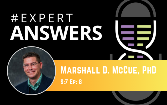 #ExpertAnswers: Marshall McCue on Stable Isotope Tracers in Preclinical Models of Obesity