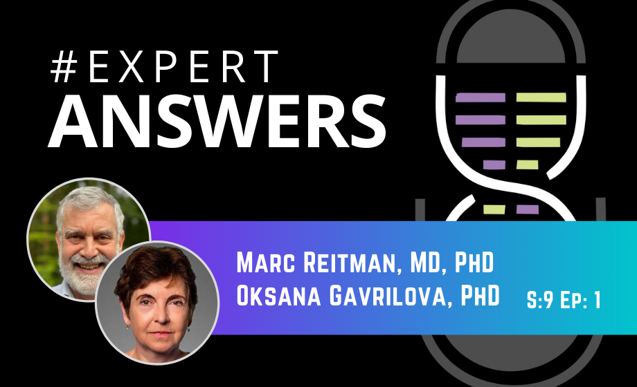 #ExpertAnswers: Marc Reitman and Oksana Gavrilova on Thermal Physiology