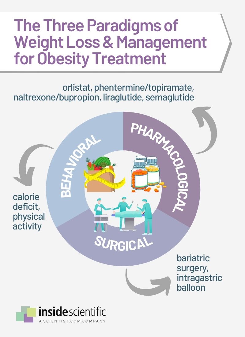 Three Paradigms of Weight Loss and Management for Obesity Treatment