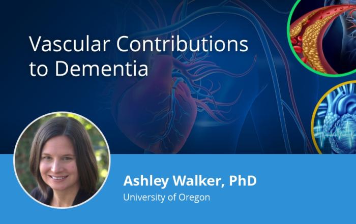 Vascular Contributions to Dementia