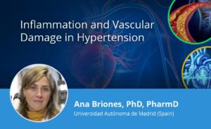 Inflammation and Vascular Dama