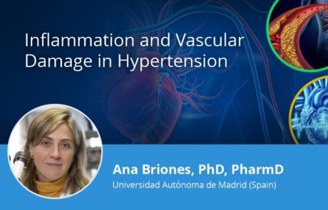 Inflammation and Vascular Damage in Hypertension