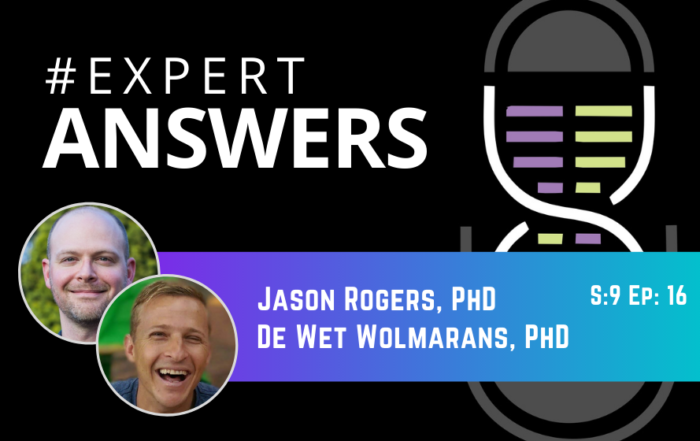 #ExpertAnswers: Jason Rogers and De Wet Wolmarans on Rodent Behavior Models