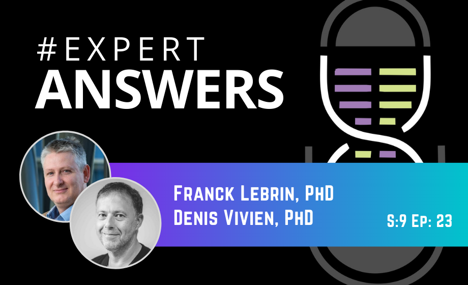 #ExpertAnswers: Franck Lebrin and Denis Vivien on Ultrasound Imaging in Stroke and Neurovascular Diseases