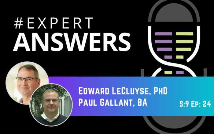 #ExpertAnswers: Edward LeCluyse and Paul Gallant on a Novel Hepatic Triculture System