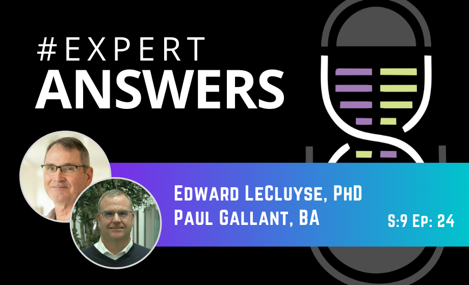 #ExpertAnswers: Edward LeCluyse and Paul Gallant on a Novel Hepatic Triculture System