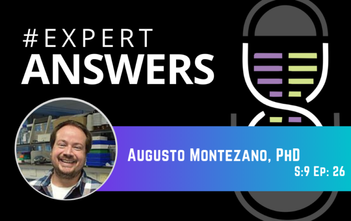 #ExpertAnswers: Guto Montezano on COVID-19 and the Endothelium