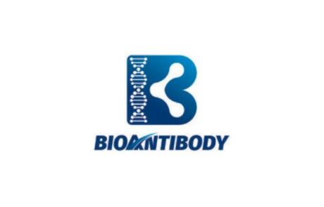 Bioantibody Biotechnology Co., Ltd