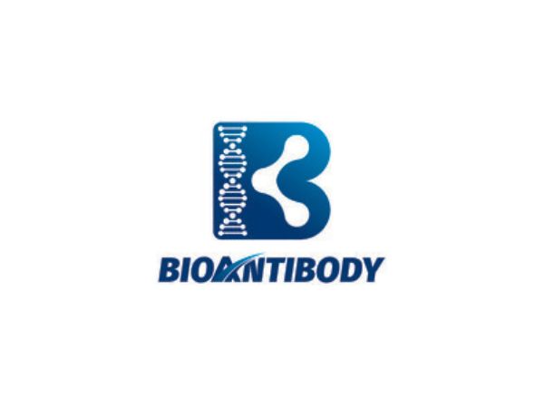 Bioantiobody Biotechnology