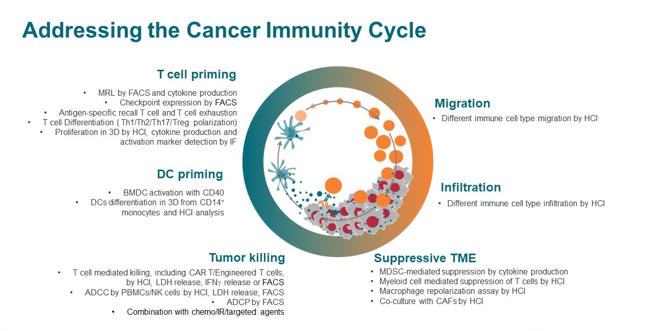 Illustration of the cancer-immunity cycle