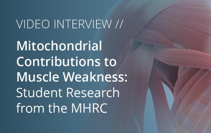 Mitochondrial Contributions to Muscle Weakness: Student Research from the MHRC