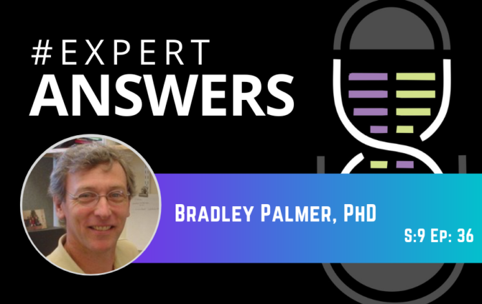 #ExpertAnswers: Bradley Palmer on Measuring Cardiac Tissue
