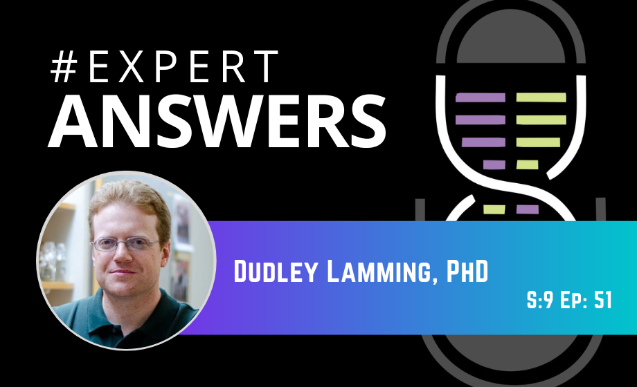 #ExpertAnswers: Dudley Lamming on the Influence of Sex and Genetic Background on Diet