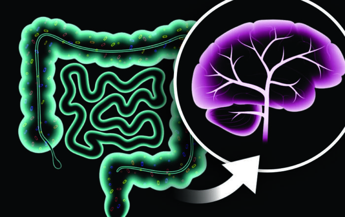 The Blues & the Browns: Links between Depression and Gut Microbiota
