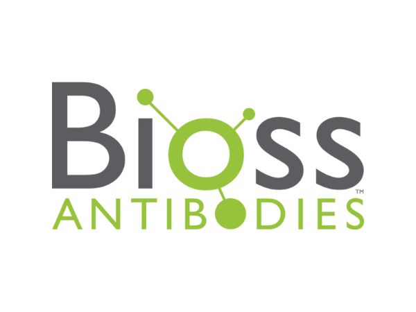 Bioss Antibodies