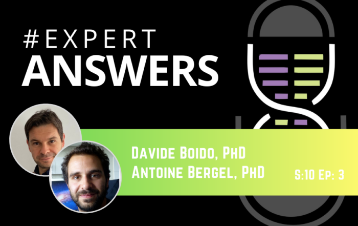 #ExpertAnswers: Davide Boido and Antoine Bergel on Multimodal Neuroimaging