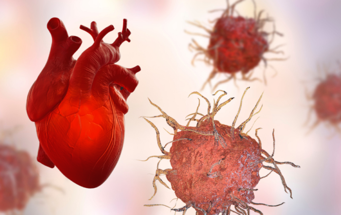 Can the Immune System Protect after Repeated Myocardial Injury?