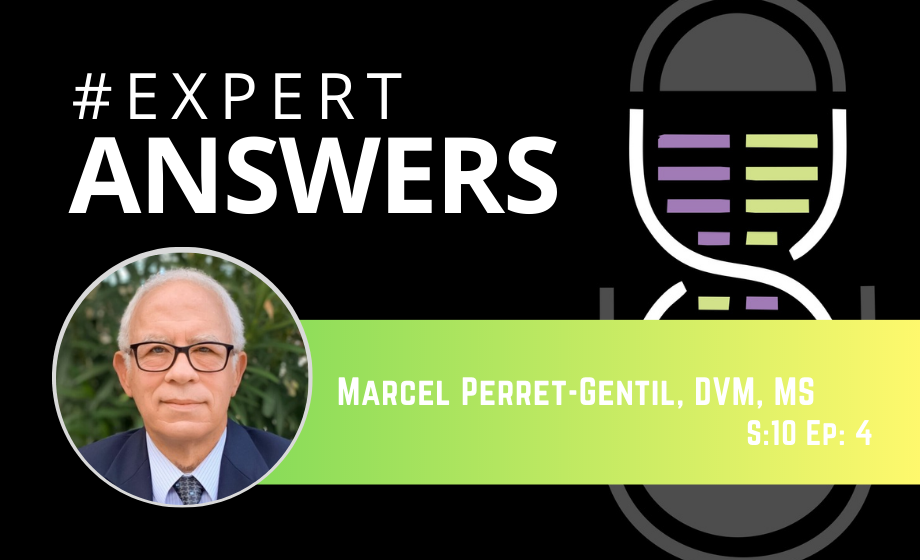 #ExpertAnswers: Marcel Perret-Gentil on Improving Surgical Outcomes