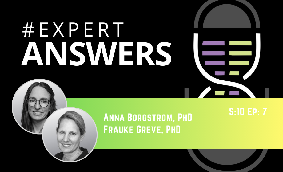 #ExpertAnswers: Frauke Greve and Anna Borgström on Hepatic Safety Using 3D Liver Spheroids