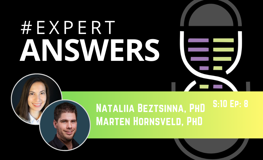 #ExpertAnswers: Nataliia Beztsinna and Marten Hornsveld on Pre-Clinical Immuno-Oncology