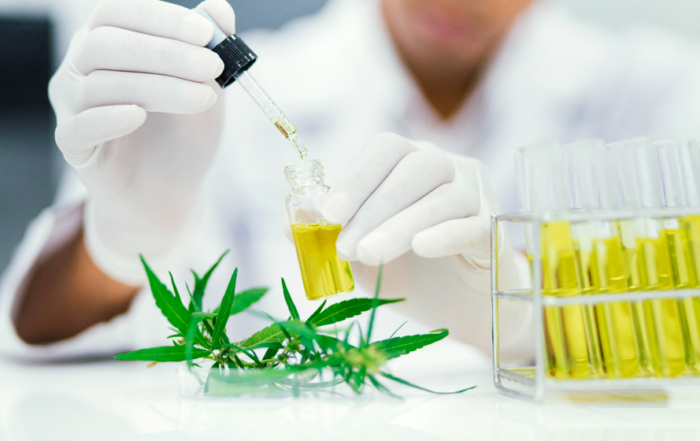 CBD’s Potential as an Anti-Cancer Agent
